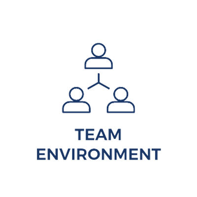 A blue and white logo with the words team environment